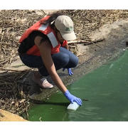USGS intern Stephanie Pena fills sample bottle with Lake Okeechobee water