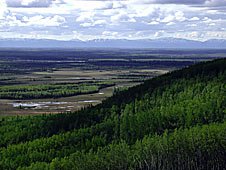 View of the Alaska Range from the Tanana Valley State Forest.