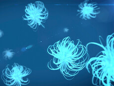 floating blue bacteria