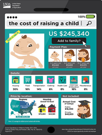 Infographic - The Cost of Raising a Child