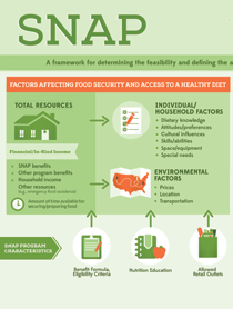 Infographic - SNAP: Examining the Evidence to Define Benefit Adequacy