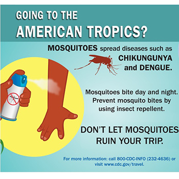Infographic: Going to the American Tropics?
