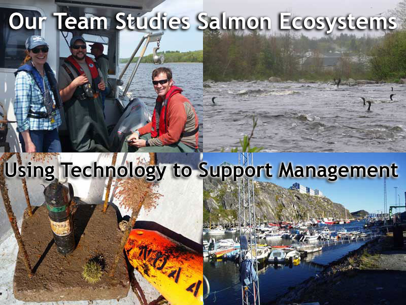 collage of salmon team images with text: Our team studies salmon ecosystems using technology to support management 