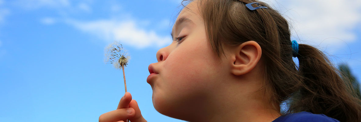 Young girl with down syndrome blowing on a dandelion