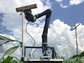 A mobile sensor tower and robot vehicle take 3-D images of corn plants.