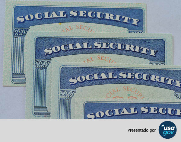 Cuatro tarjetas del Seguro Social.