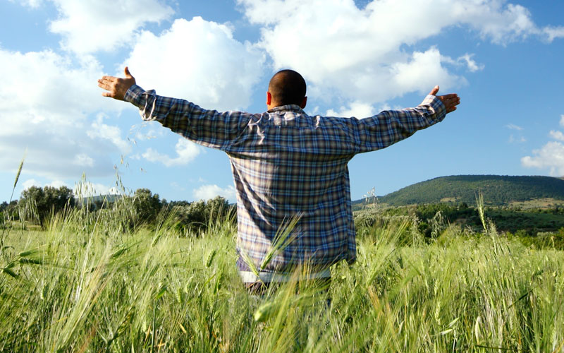 Happy man in a field with his arms raised with blue sky and clouds