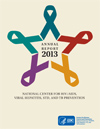 NCHHSTP Annual Report Fiscal Year 2013 cover