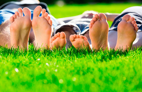Family's feet on grass