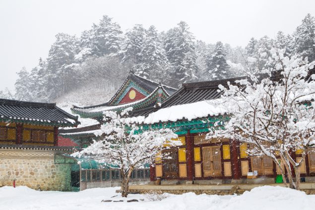 Colorful Buddhist temple surrounded by snow-covered trees and forest