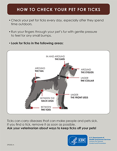 PDF cover for How to Check Your Pets For Ticks