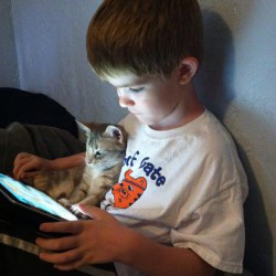 	Boy sits with kitten while he looks at iPad.