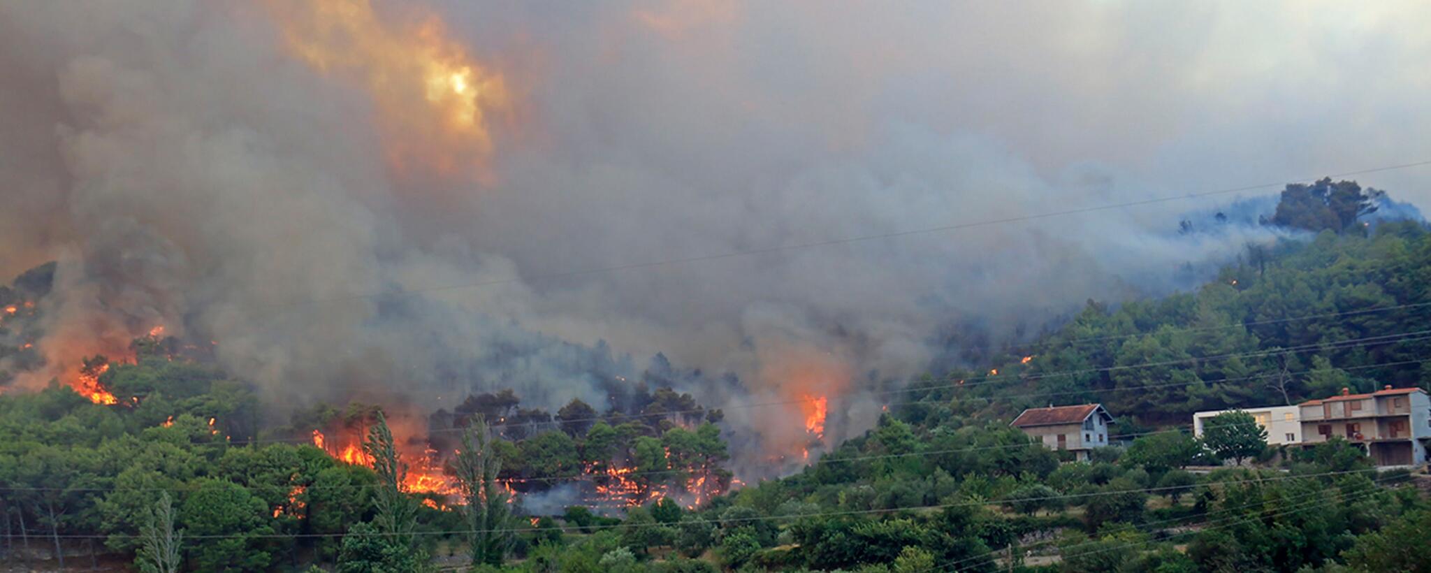 A wildfire rages on a hill side near houses