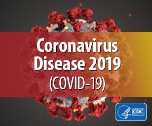 Graphic of the coronavirus molecule