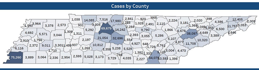 COVID-19 Cases by County