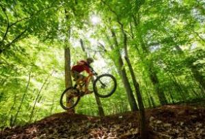 Bicyclist launches above a mountain biking trail under a canopy of green trees.