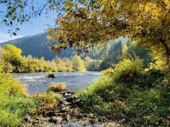 Fall on the Rogue River
