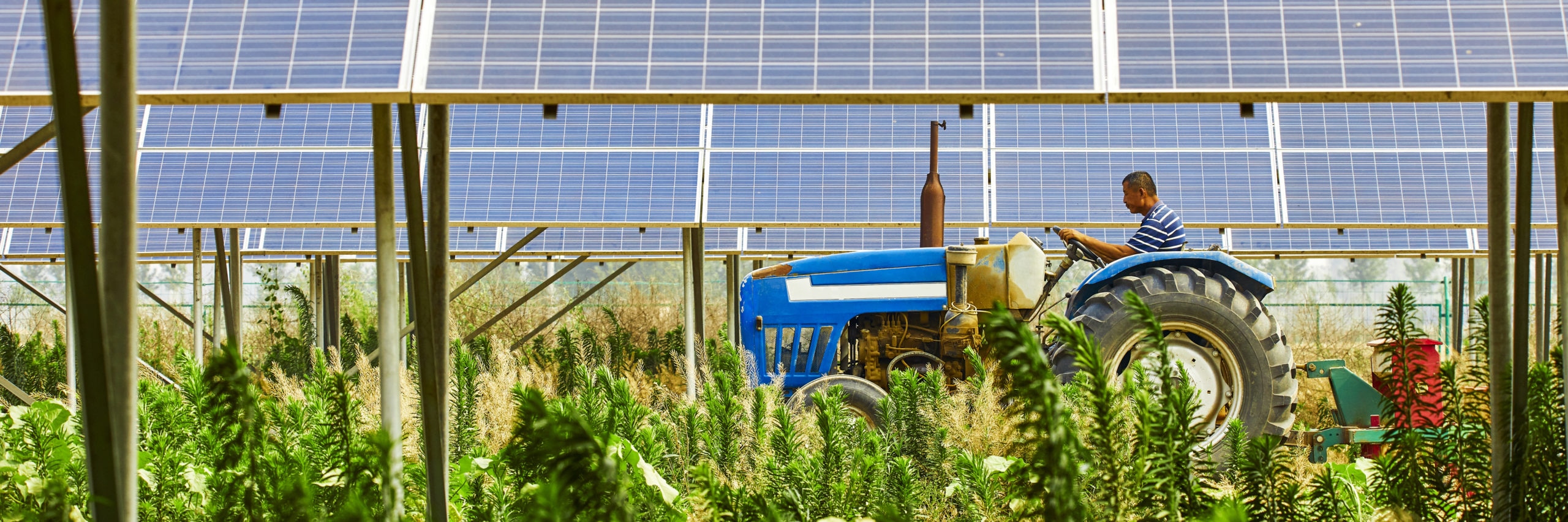 Solar photovoltaic area to open the tractor of the elderly - Image [shutterstock]