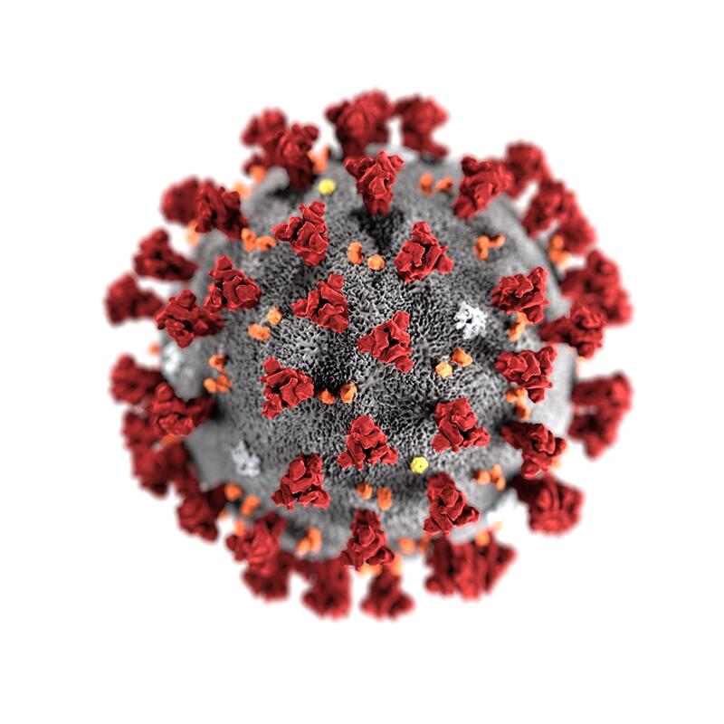close up of a cornoavirus