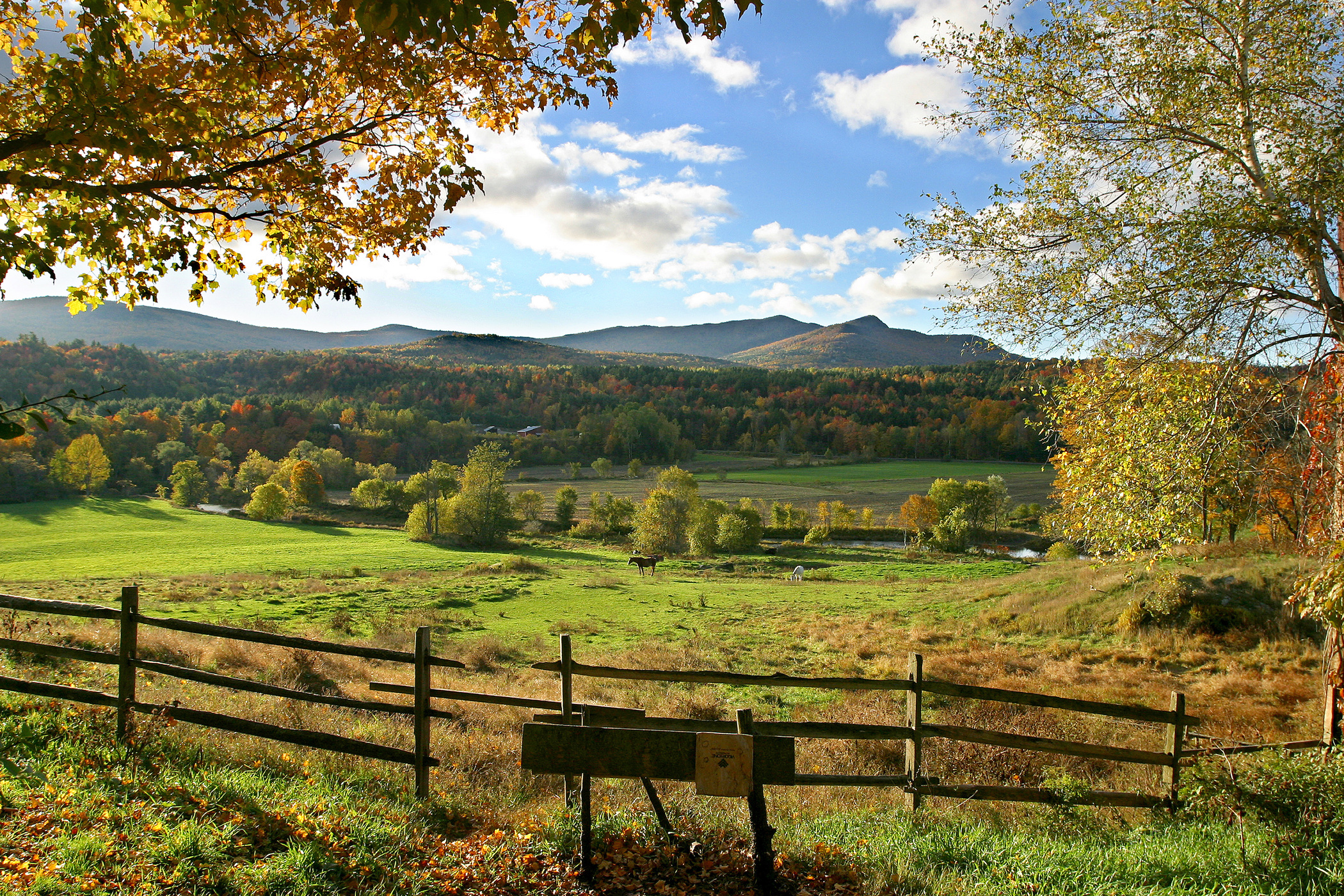 Vermont mountains and field in summer