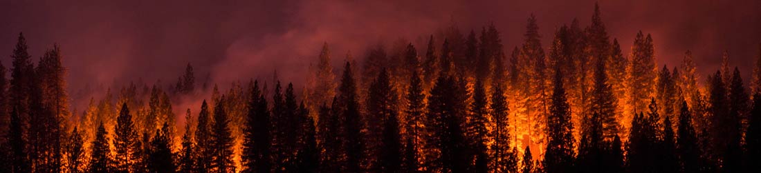 una foto de un gran incendio forestal