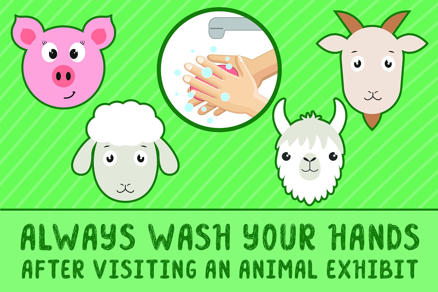 Always Wash Your Hands After Visiting An Animal Exhibit Sticker