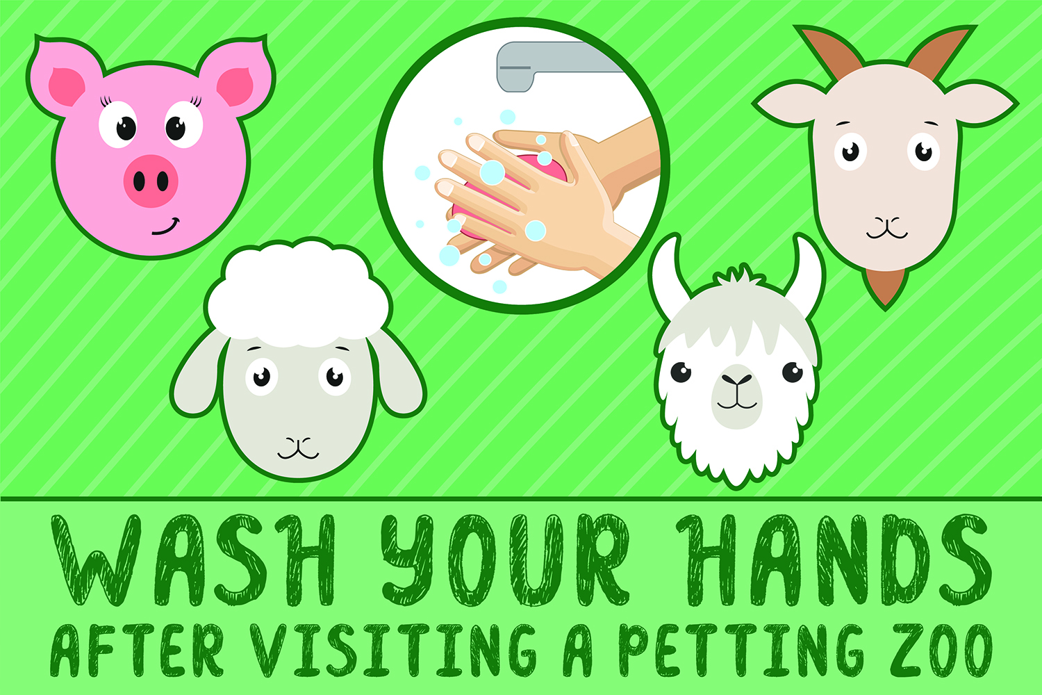 Wash Your Hands After Visiting A Petting Zoo sticker
