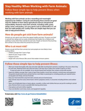 Publications flyer cover for Stay Healthy When Working With Farm Animals