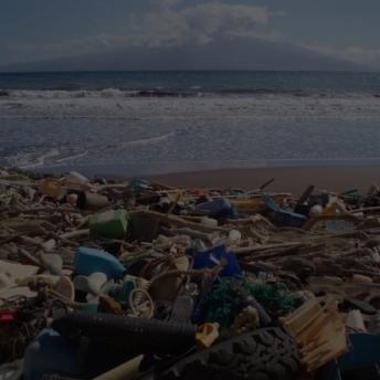 Litter such as plastic detergent bottles, crates, buoys, combs, and water bottles blanket Kanapou Bay, on the Island of Kaho’olawe in Hawaii. This region is a hot-spot for marine debris accumulation.