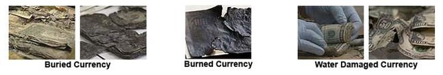 Images of buried, burned and water damaged mutilated currency.
