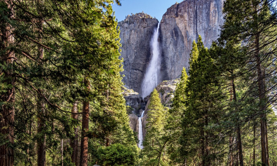 A waterfall flows over a high gray rock cliff framed by tall trees in the foreground.