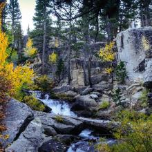 Rocky terrain with fall foliage and running water in the California Nevada region