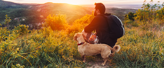 Man with dog enjoying mountain sunset