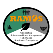 An infographic summarizing activities of the RAMPS program.