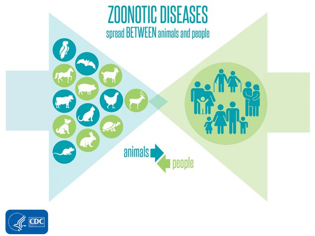 Zoonotic Diseases spread between animals and people banner