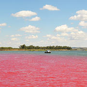 Photo of red dye in Missouri river