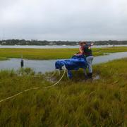 Meagan Gonneea checks on instruments at a tidal creek in Great Pond, Falmouth, MA