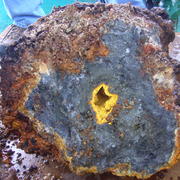 Very crusty rock with tan outer layer, gray core, and bright yellow center. Man's booted foot is in background.