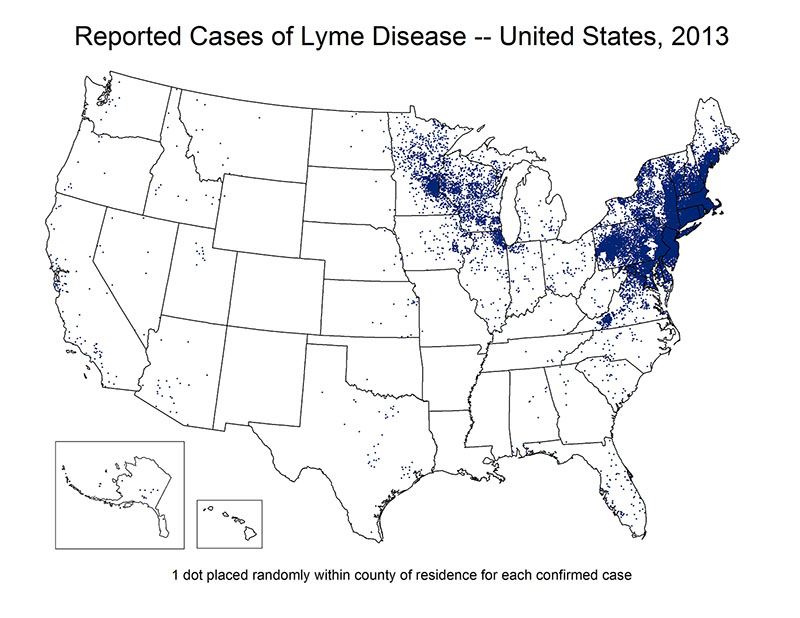 Map of the United States showing reported cases of Lyme Disease 2013. Cases are concentrated in the north east region of the country.