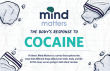Picture of Mind Matters: The Body's Response to Cocaine