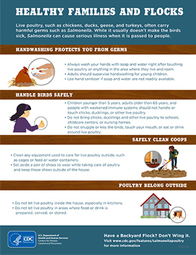 Publications Infographic cover for Healthy Families And Flocks