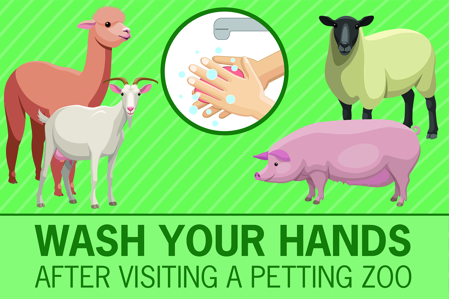 Always Wash Your Hands After Visiting a Petting Zoo Sticker