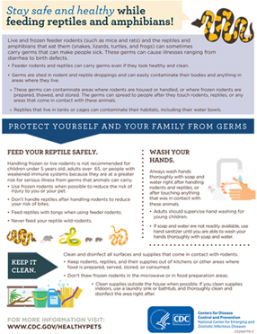 Publications Infographic cover for Stay Safe And Healthy While Feeding Reptiles And Amphibians