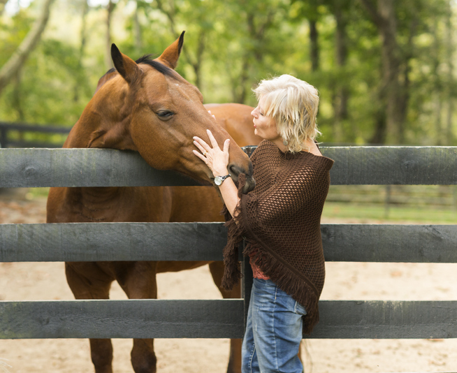 Blonde woman touches thoroughbred horse