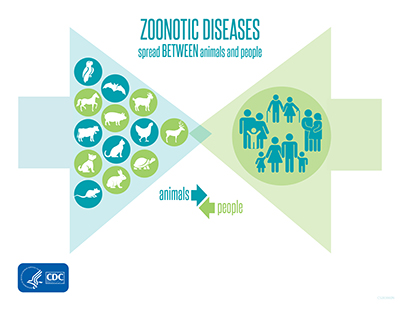 Zoonotic Diseases Graphic