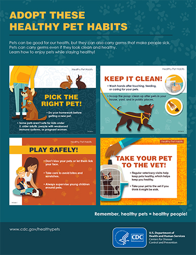 Adopt These Healthy Pet Habits poster