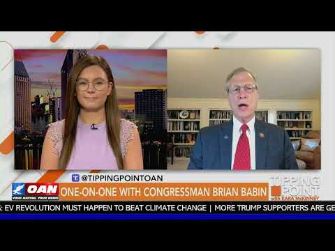 Babin: Harris is lying, our border is not secure