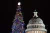 The 84-foot-tall white fir will light up the Capitol every night through Christmas. 