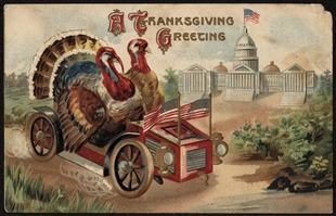 A Thanksgiving Greeting Postcard