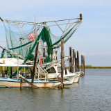 Gulf Coast shrimp boats